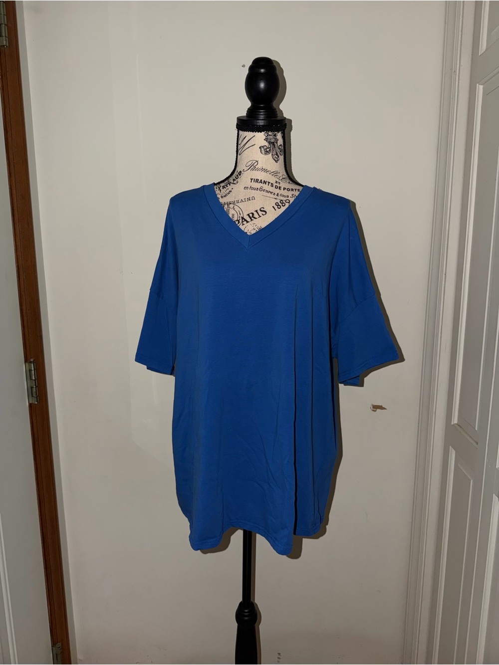 ✨5/$30✨ Relaxed V-Neck Tee in Bright Blue